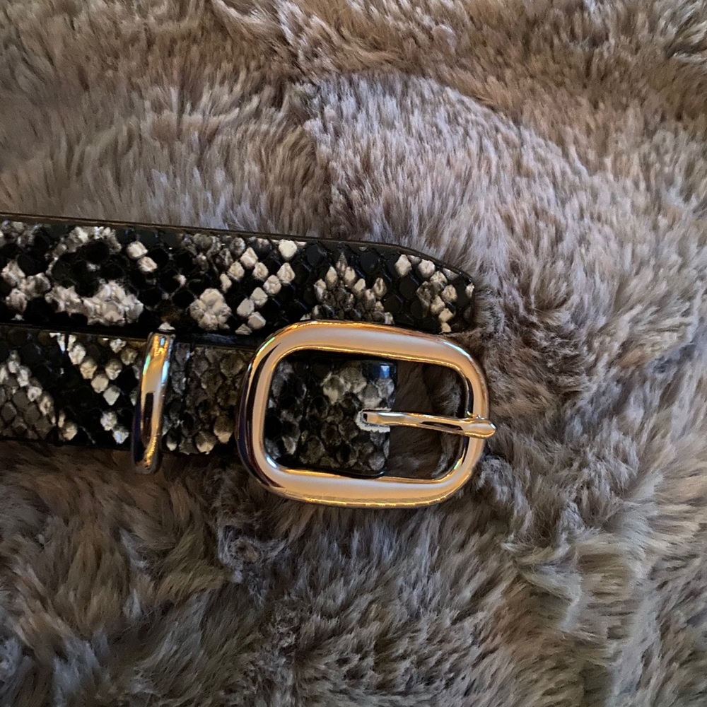 Faux Leather Snake Skin Belt